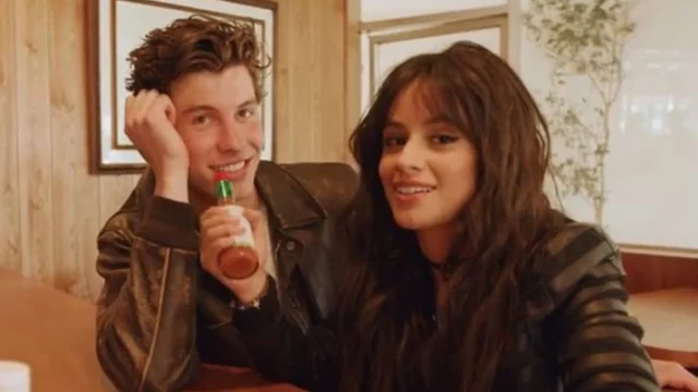 Camila Cabello incinta di Shawn Mendes? Il gossip bomba