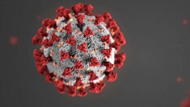 Coronavirus cos'è come comportarsi