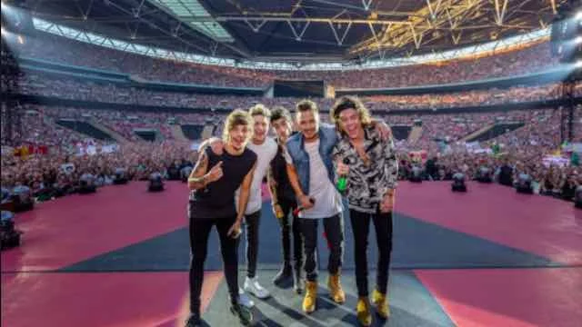 One Direction: i fan ricordano il concerto evento a San Siro