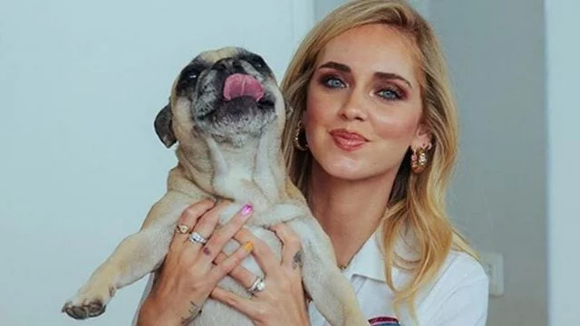 Chiara Ferragni: ecco come sta il cane Mati dopo le prime cure ricevute