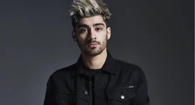 Zayn Malik insultato per via dei One Direction: intervengono i fan