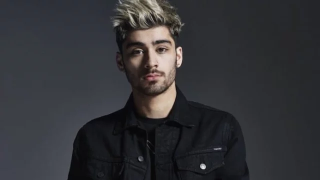 Zayn Malik insultato per via dei One Direction: intervengono i fan