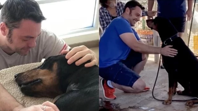 Tiziano Ferro dopo la morte di Beau adotta un altro cane (VIDEO)