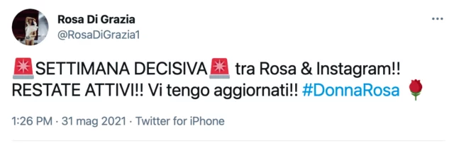 rosa di grazia