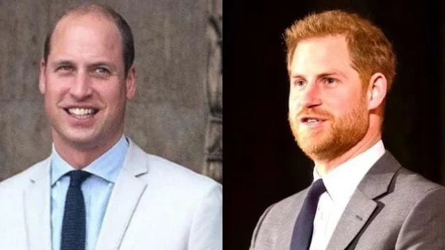 Il Principe William non si fida più di Harry? I retroscena sul loro rapporto