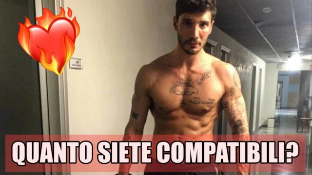 stefano de martino quanto sei compatibile quiz