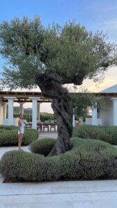 Chiara Ferragni a Ibiza: il giardino