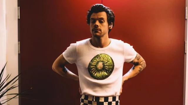 Harry Styles in concerto a Campovolo, ma le fan vogliono boicottarlo