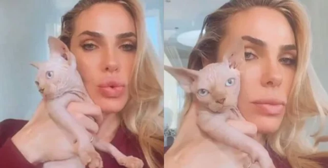 Ilary Blasi ha perso il suo gatto: l'annuncio per ritrovarlo