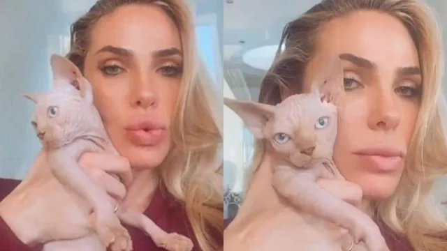 Ilary Blasi ha perso il suo gatto: l'annuncio per ritrovarlo