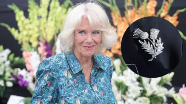 Regina Elisabetta, il significato della spilla indossata da Camilla