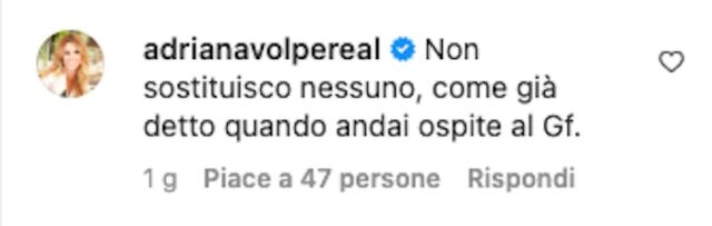 Commento Instagram di Adriana Volpe - Non sostituiraÌ lei Sonia Bruganelli