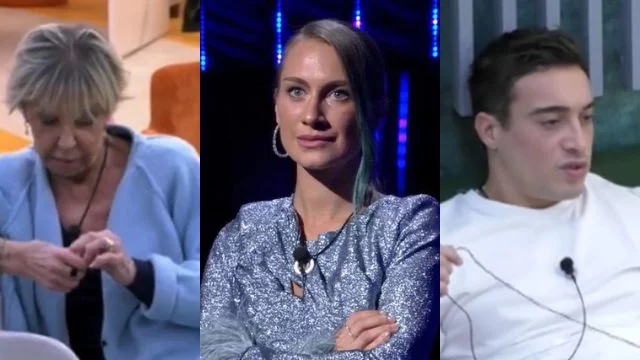 nikita pelixon criticata wilma difesa antonino spinalbese