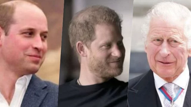 Il Principe Harry lancia nuove accuse a Carlo e William in tribunale