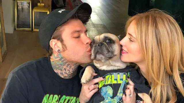 Fedez, un hater lo stuzzica dopo la morte della cagnolina Matilda