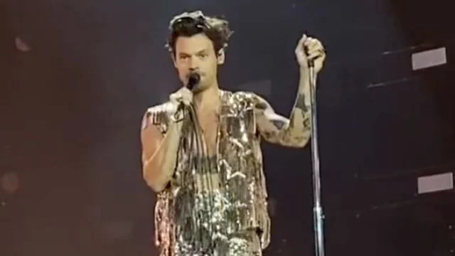 Harry Styles, Fernanda number six ha rischiato di non entrare al concerto