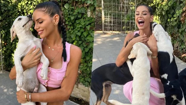 Antonella Fiordelisi chiede aiuto ai fan sulle adozioni degli animali