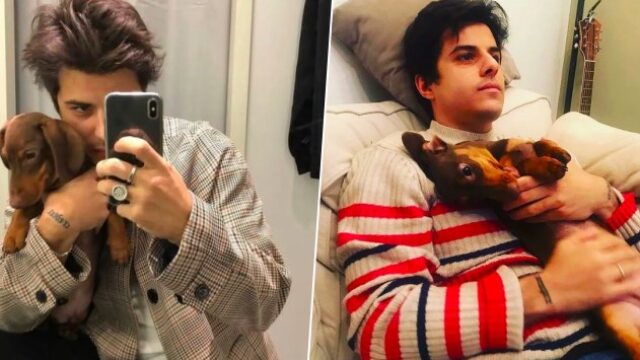 Michele Merlo, il cane Martino dorme con la sua foto accanto: lo scatto commuove il web