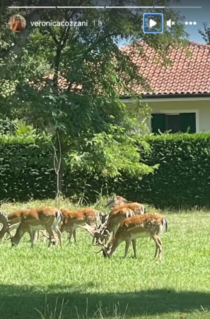 La foto postata dalla mamma di Belen Rodriguez