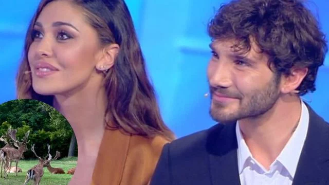 belen rodriguez video cervi tradimenti presunti de martino