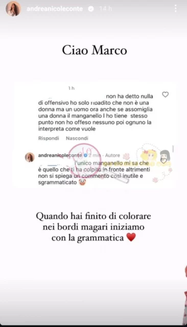 La risposta di Andrea Nicole Conte all'hater (foto de Il Vicolo delle News)