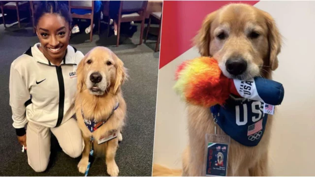 Olimpiadi: tutti pazzi per Beacon, il cane delle ginnaste americane