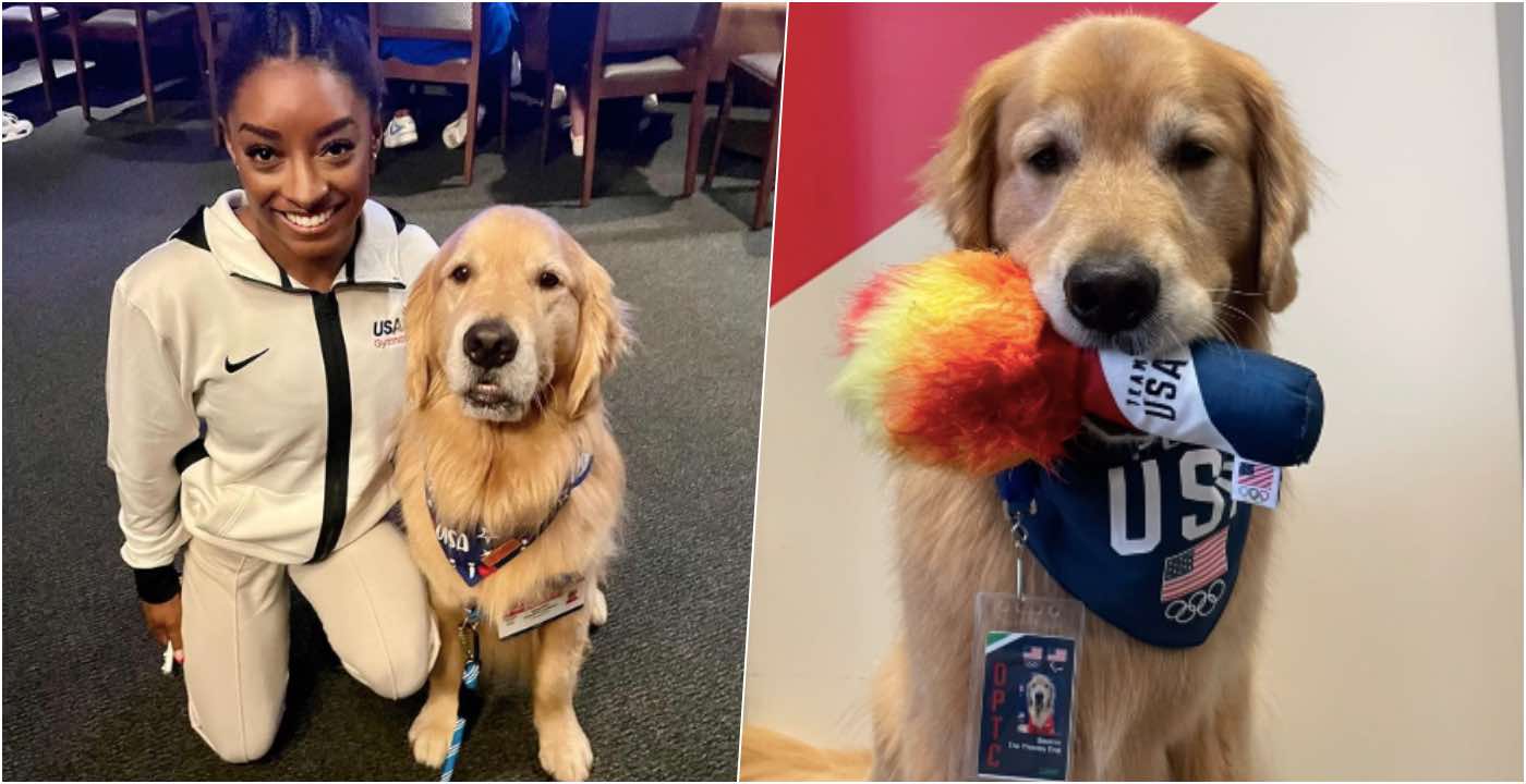 Il golden retriever delle ginnaste americane che le ha accompagnate alle Olimpiadi: tutti pazzi per Beacon