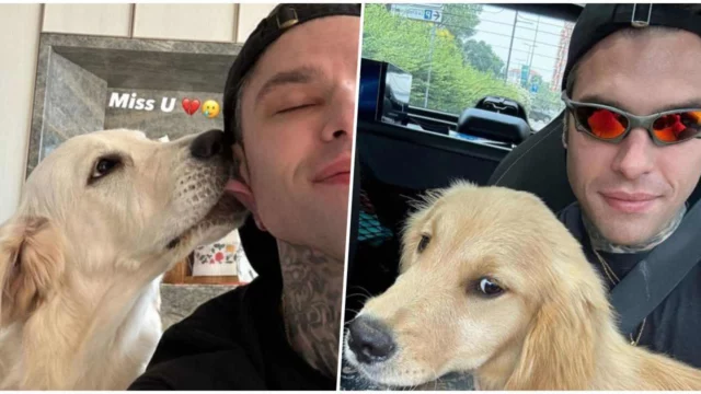 Fedez, volto noto scambia il cane Silvio per Paloma: la reazione