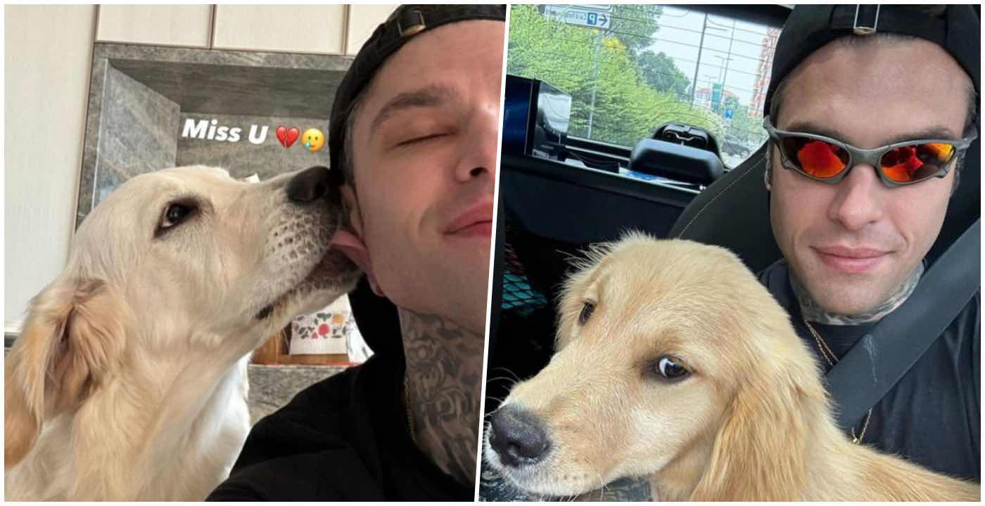 Fedez, volto noto scambia il cane Silvio per Paloma! Lui risponde sarcastico alla gaffe (FOTO)