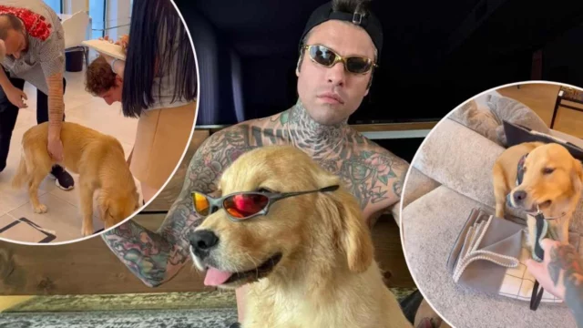 Fedez, il cane Silvio arriva alla Fashion Week di Milano