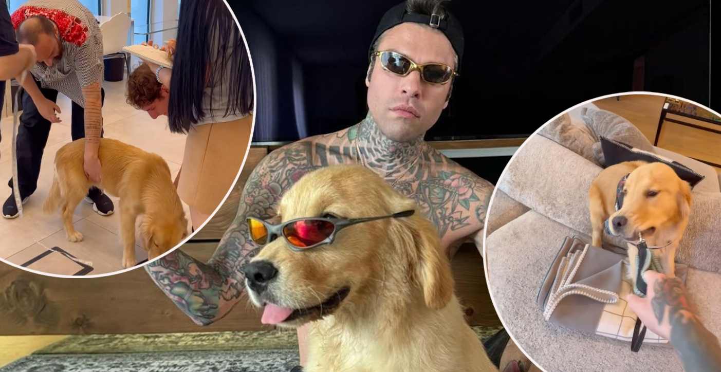 Fedez, il cane Silvio arriva alla Fashion Week di Milano