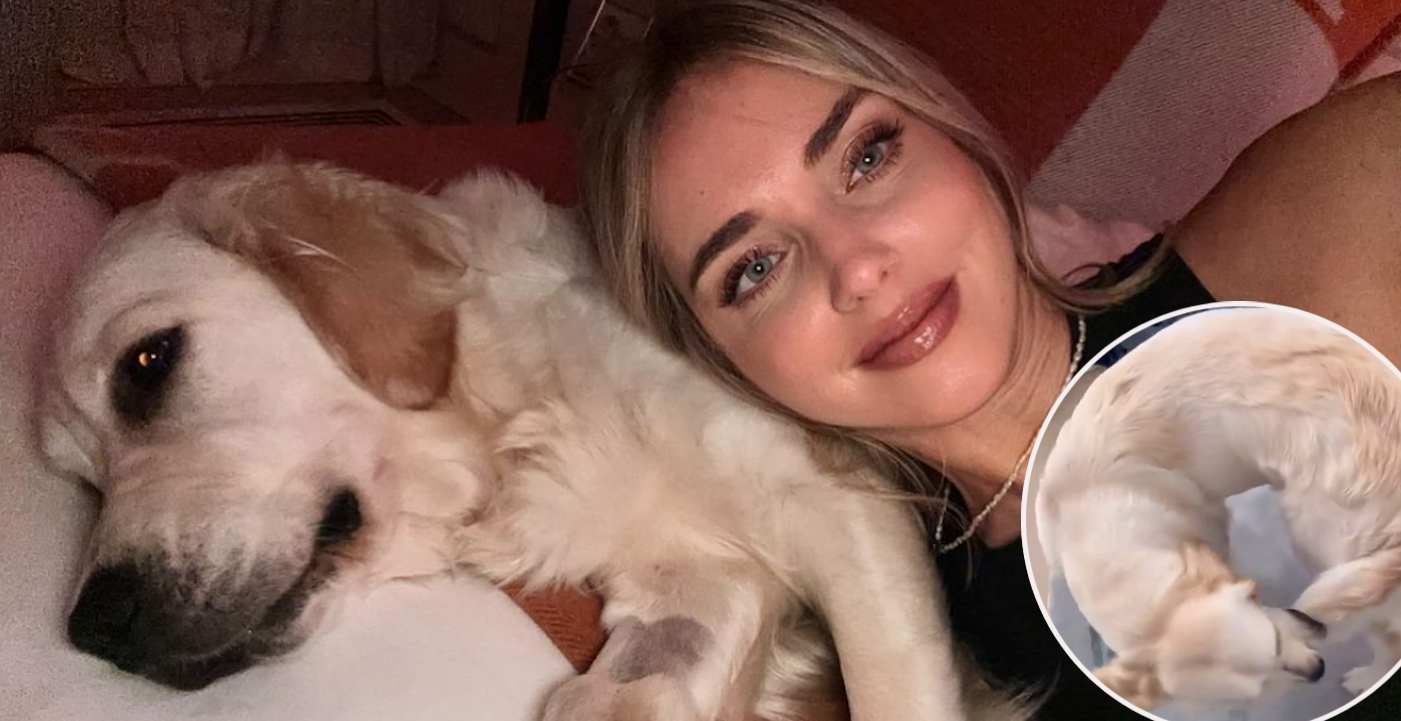 Chiara Ferragni posta un video di Paloma che si morde la coda ma il web la critica