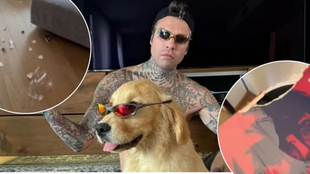 fedez cane silvio rovina mangia vinili video