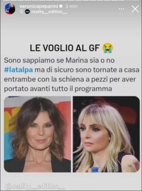 La storia Instagram condivisa da Veronica Peparini