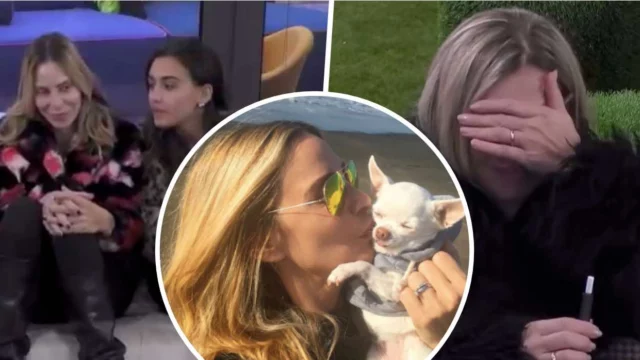 Stefania Orlando ricorda la cagnolina, Eva commette una gaffe